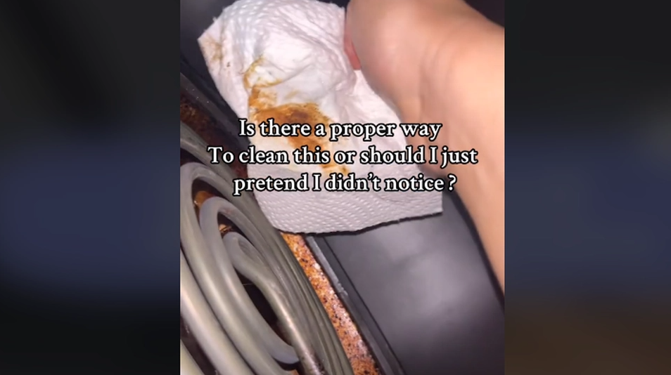 Woman Makes Gruesome Discovery in Her Air Fryer: Remember to Clean this Part
