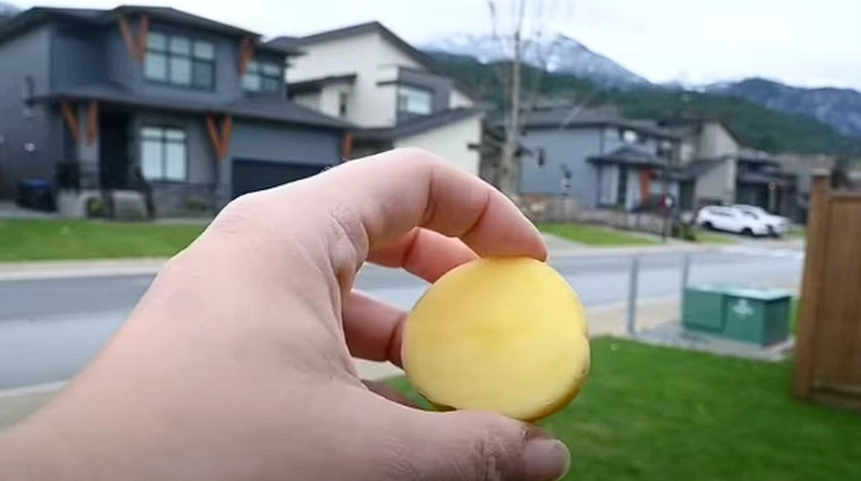 Advice for Car Owners: Why You Should Rub Your Windows with a Potato