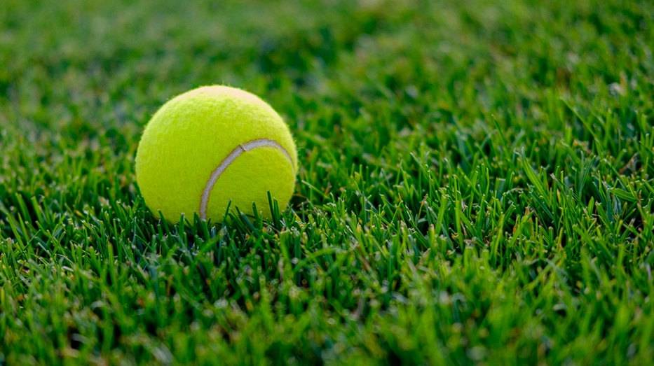 Why Do the English Leave Old Tennis Balls in Their Gardens in Winter – Everyone Should Do the Same
