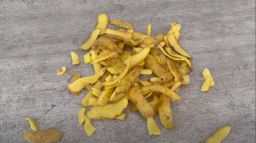 Almost everyone throws potato peels in the trash – but wait until you see how they’re worth their weight in gold.