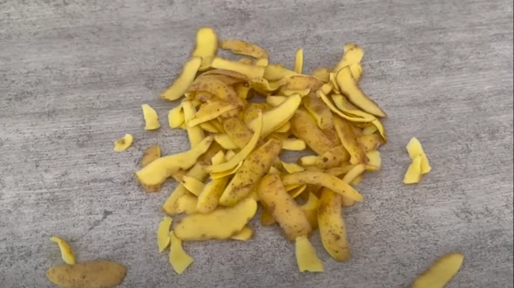 Almost everyone throws potato peels in the trash – but wait until you see how they’re worth their weight in gold.
