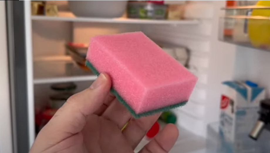 Did You Know? The Color of Your Dishwashing Sponge Actually Has a Purpose