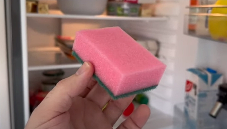 Did You Know? The Color of Your Dishwashing Sponge Actually Has a Purpose