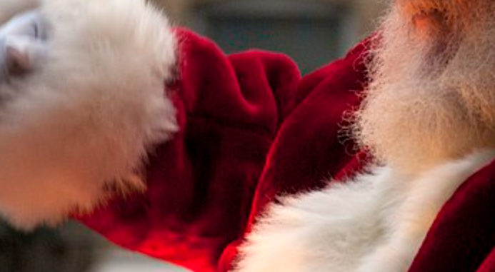 Remember the Horrific Incident in 2008? When ‘Santa’ Knocked on the Door and Took the Life of an Entire Family