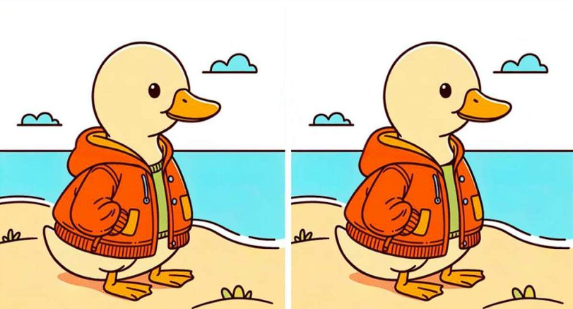 Brain Teaser: There Are 3 Differences Between The Images Of A Duckling Wearing A Jacket. Can You Spot Them All In 9 Seconds?