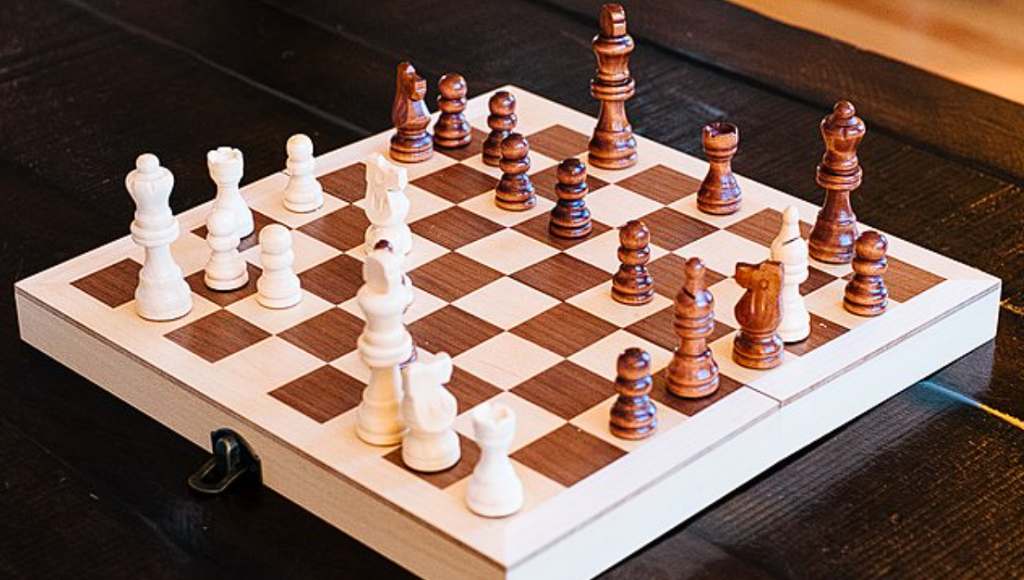 Chess Master Stripped of Title: Sat Down And Pooped In A Hotel Room Bathtub