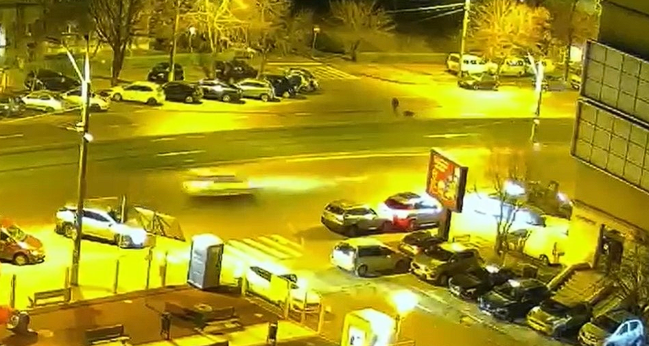 Footage: Tragic Motorcycle Accident in Bucharest Claims Lives of Dog and Owner