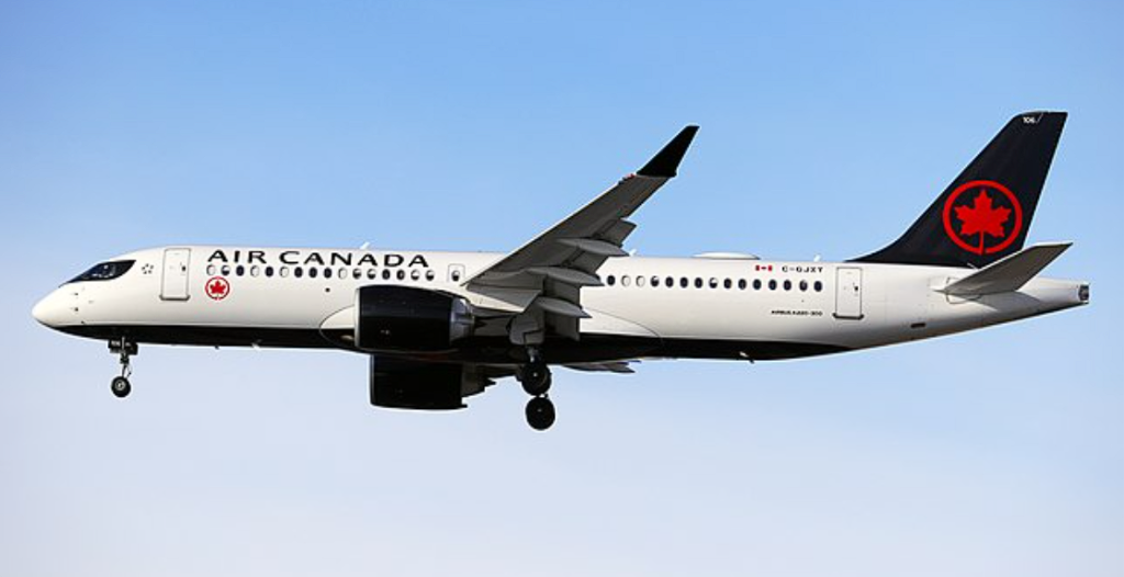 Passenger Fell Out Of Plane After Opening Cabin Door