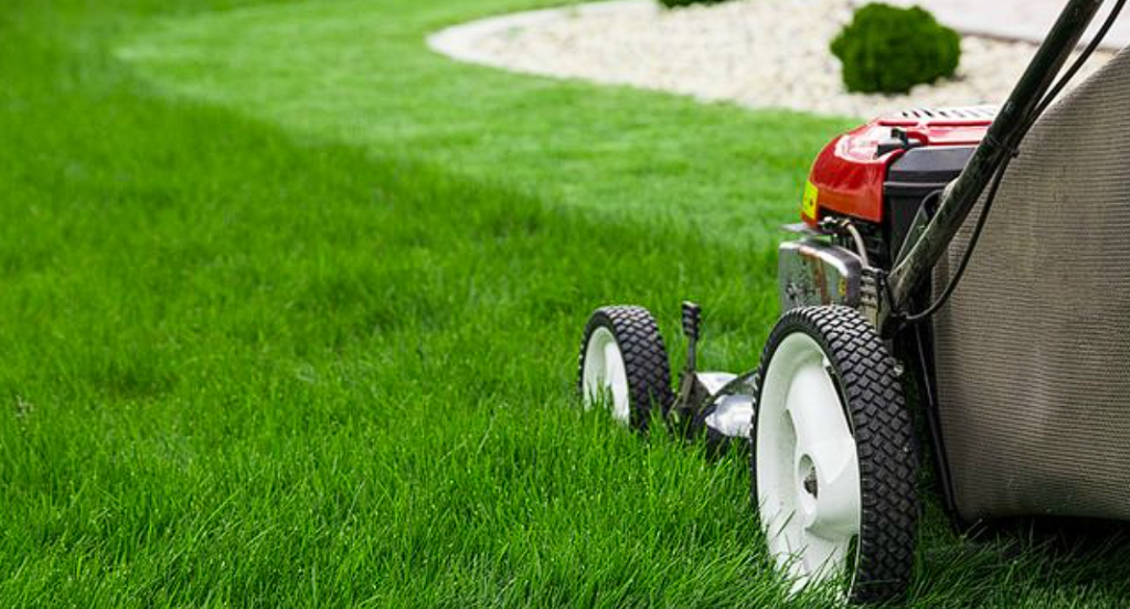 The Optimal Time to Mow Your Lawn