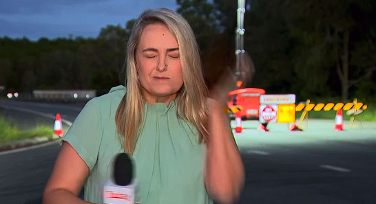 Watch: Reporter Slaps Herself on Live Broadcast Trying to Fend Off Mosquito