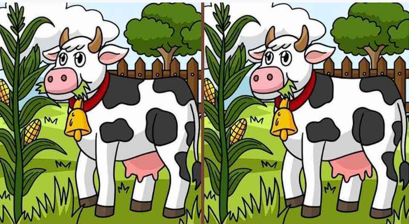 Can You Spot the 3 Differences in these Images of a Grazing Cow Within 12 Seconds?