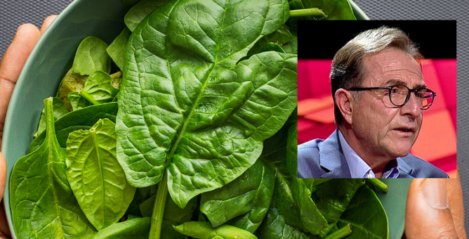Professor Dr. Osman Unveils Key to Fighting Fatigue: Magnesium-Rich ‘Miracle’ Foods