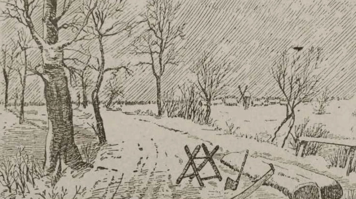 This One is Really Tough: Can You Find The Missing Lumberjack Within 6 Seconds