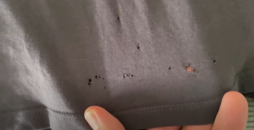 The Real Reason Behind Those Tiny Holes in Your T-Shirt