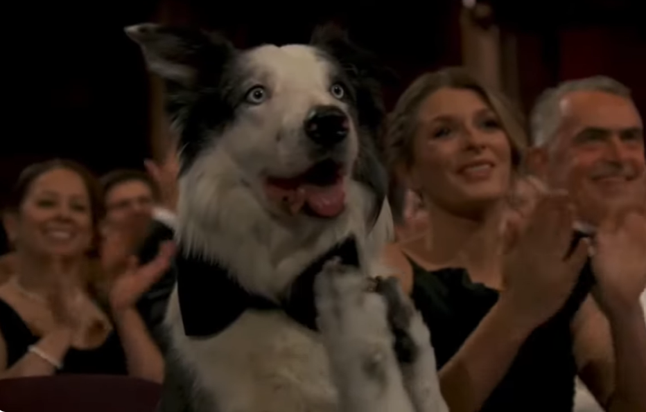 The Truth Behind the Oscars’ Clapping Dog Revealed