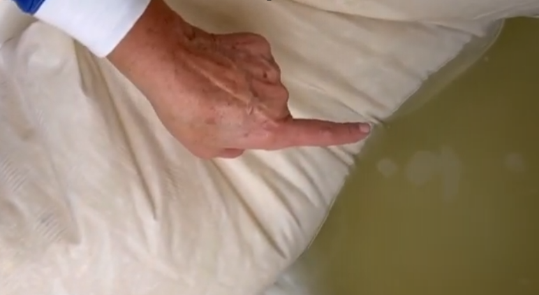 How Grandmother’s Household Hack Revives Your Yellowed Pillows