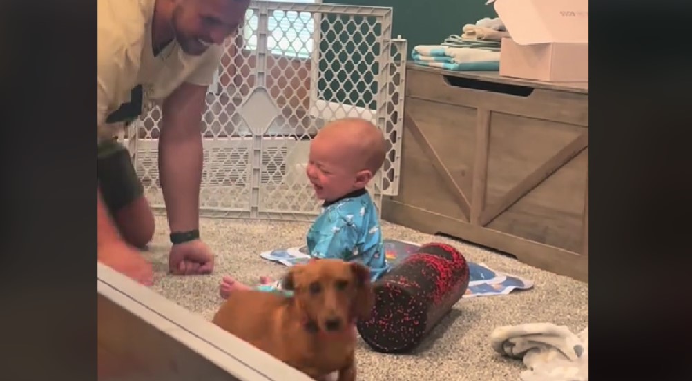 Baby Meets Dog for the First Time: What Happens Will Melt Your Heart