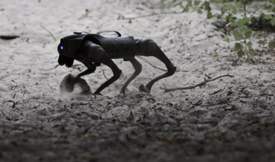 Advanced Robotic Dogs Take on Dangerous Missions in Ukraine’s War Effort