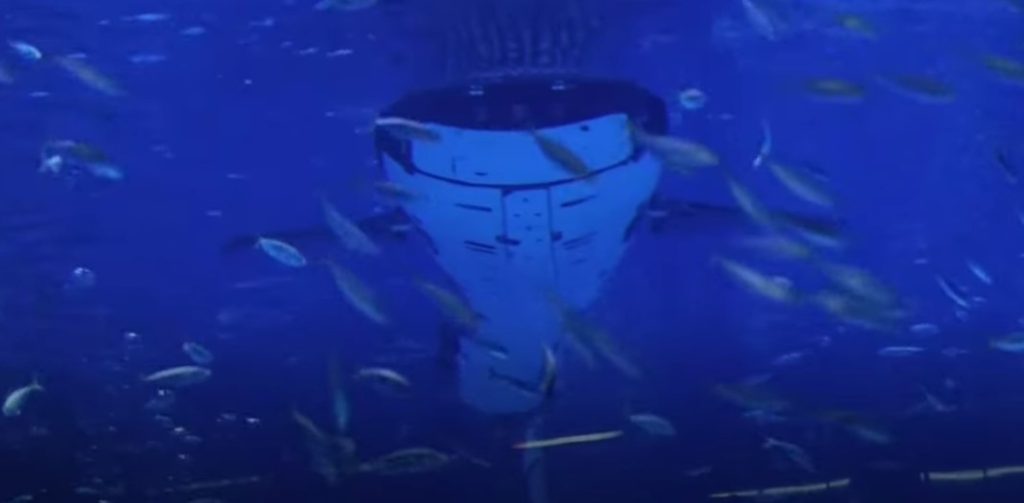 China Unveils First Robotic Whale Shark with Advanced Bionic Technology