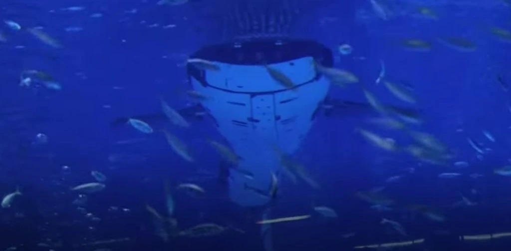 China Unveils First Robotic Whale Shark with Advanced Bionic Technology
