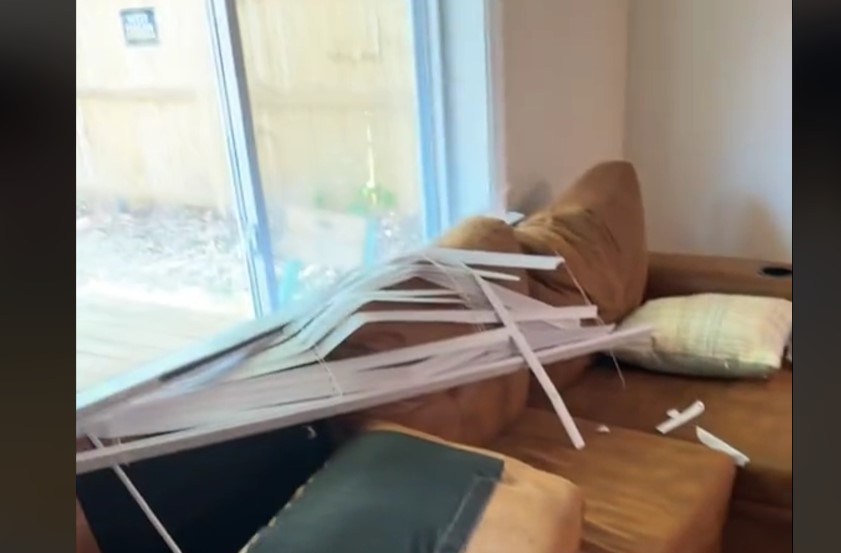 Dog’s First Vacation Ends in Chaos as He Turns Rental into Playground