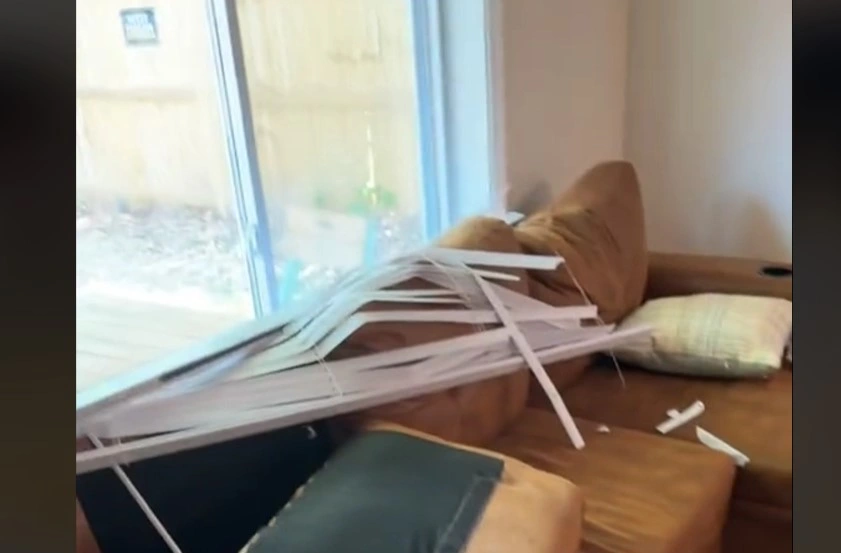 Dog’s First Vacation Ends in Chaos as He Turns Rental into Playground