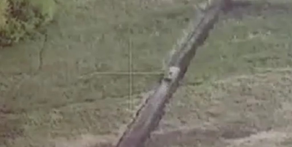 Ukraine’s Air Assault Brigade Achieves Major Victory on Russian Soil