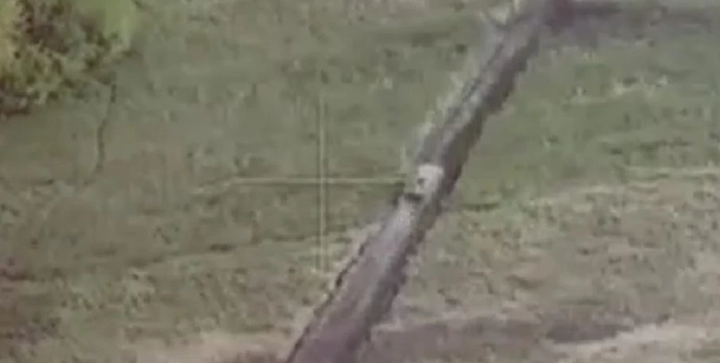 Ukraine’s Air Assault Brigade Achieves Major Victory on Russian Soil
