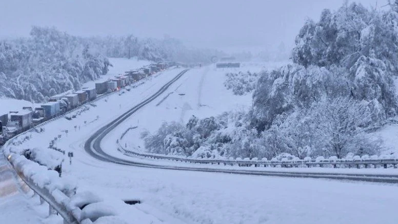 Unexpected Snowstorm in South Africa Leaves One Dead, Many Trapped