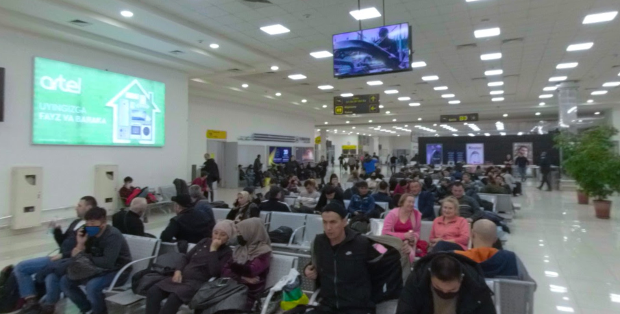 12 Rare Birds Discovered in Passenger’s Luggage at Uzbekistan Airport