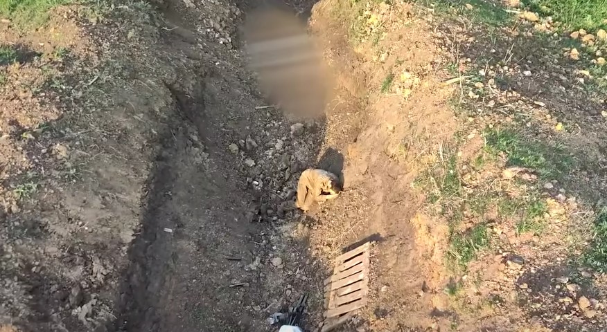 Ukrainian Forces Use Drone to Rescue Wounded Russian Soldier