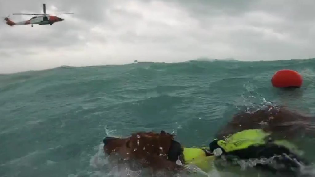 VIDEO: Man and Dog Pulled from Sea During Hurricane Helene