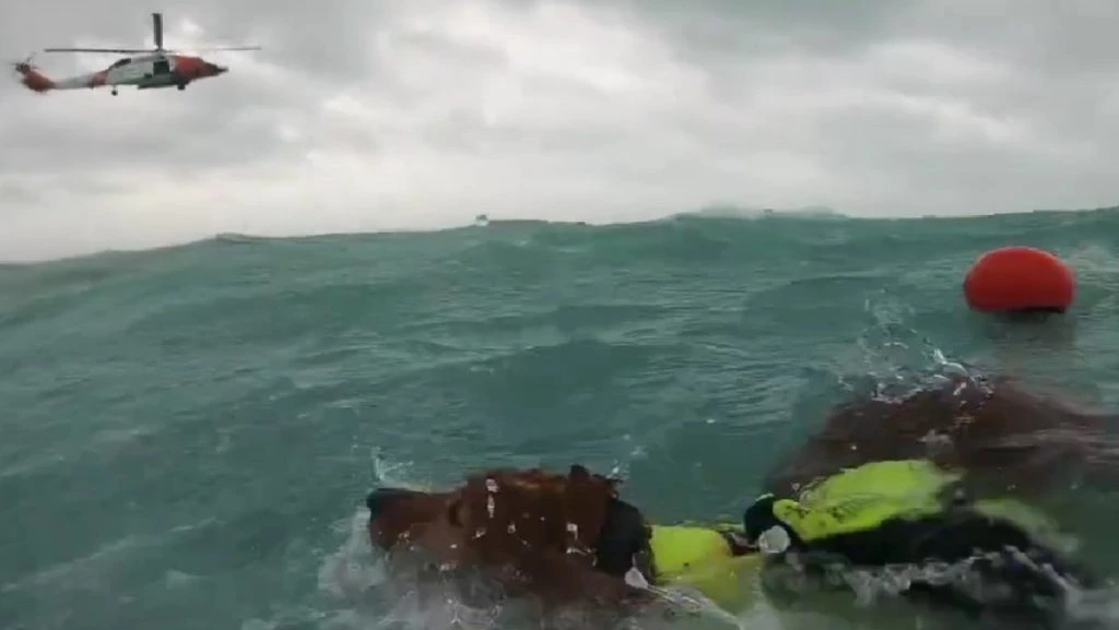 VIDEO: Man and Dog Pulled from Sea During Hurricane Helene