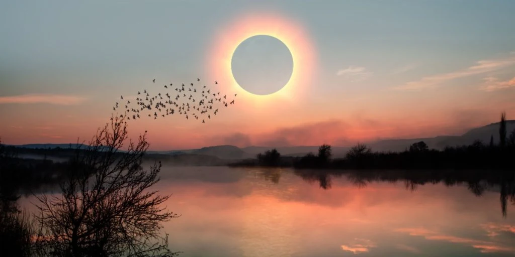 How Animals React to Total Solar Eclipses: A Fascinating Study