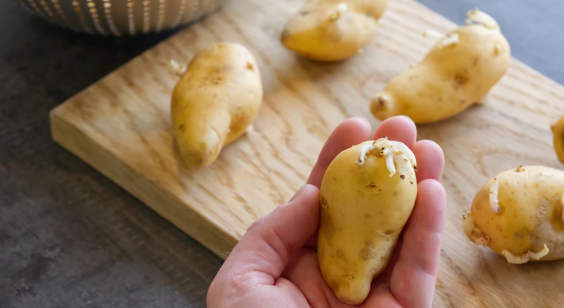 How to Keep Potatoes Fresh for Months