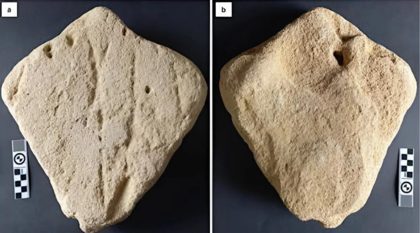 Discovery of Potential 130,000-Year-Old Sculpture Challenges History of Art
