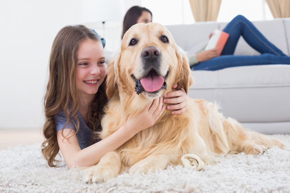 14 Things You Probably Didn’t Know About Dogs