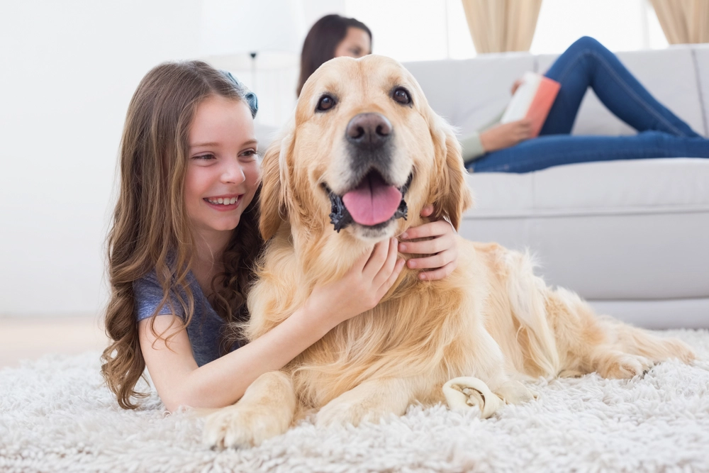 14 Things You Probably Didn’t Know About Dogs
