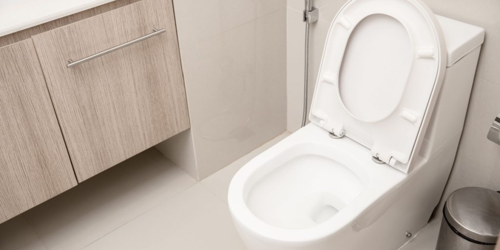 Researchers’ Advice: Close the Toilet Lid Before Flushing