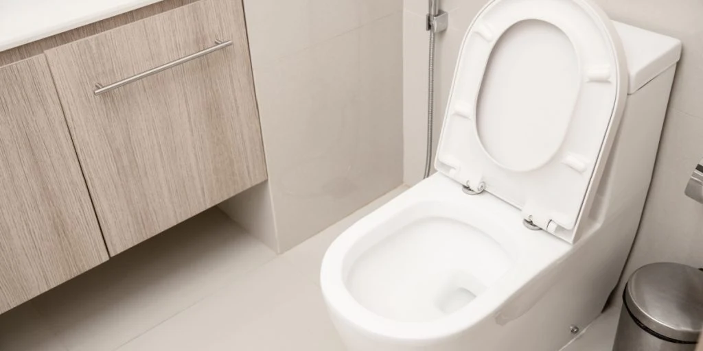 Researchers’ Advice: Close the Toilet Lid Before Flushing