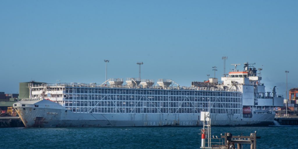 A Foul Smell Over Cape Town Finally Clears