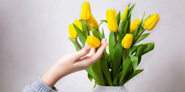 Keep Your Tulips Fresh for Days with These Hacks