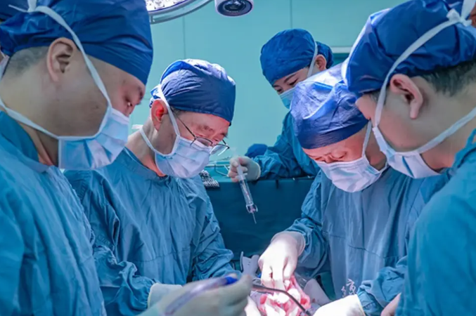 Medical Marvel: Chinese Scientists Successfully Transplant Pig Kidney to Human