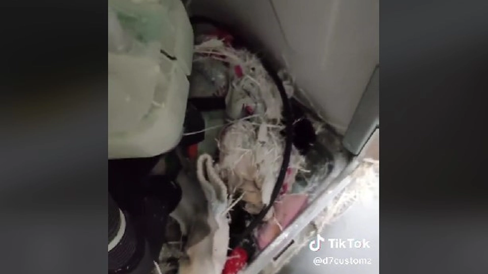 Man discovers hidden compartment in washing machine: This is where the socks go