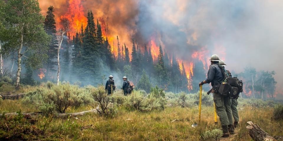 Forest Fires in Bulgaria Lead to Evacuation